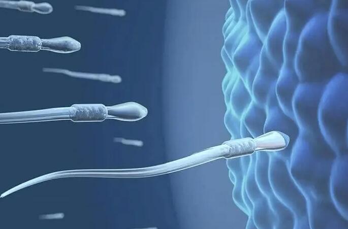 输卵管阻塞是否只能做试管婴儿怀孕，解析其他治疗方法