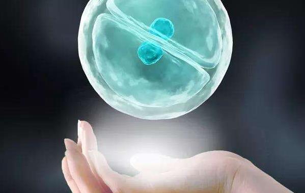 2024年兰州私立殖助孕机构买卵子做试管婴儿多少钱