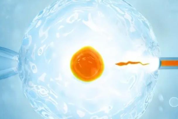 2024泰国做试管婴儿指南来了，有关取卵的6个注意事项要记清