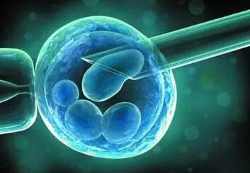 试管8细胞和6细胞胚胎有什么区别，哪个更适合移植